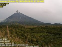 Gunung Semeru Erupsi, Tinggi Kolom Letusan Teramati Sekitar 600 Meter di Atas Puncak