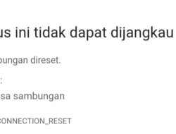 Website RSU Cut Meutia Tak Dapat Diakses, Ada Apa?