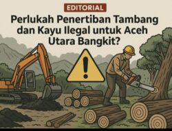 Perlukah Penertiban Tambang dan Kayu Ilegal untuk Aceh Utara Bangkit?