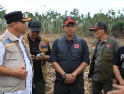 Kepala BNPB Tinjau Lokasi Bencana di Aceh Utara, Pemerintah Pusat Siapkan Huntara