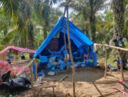 Hampir 20 Ribu Warga Mengungsi, Tenda di Langkahan Masih Jauh dari Cukup